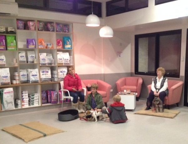 Puppy Pre School participants enjoying the large new space in Reception